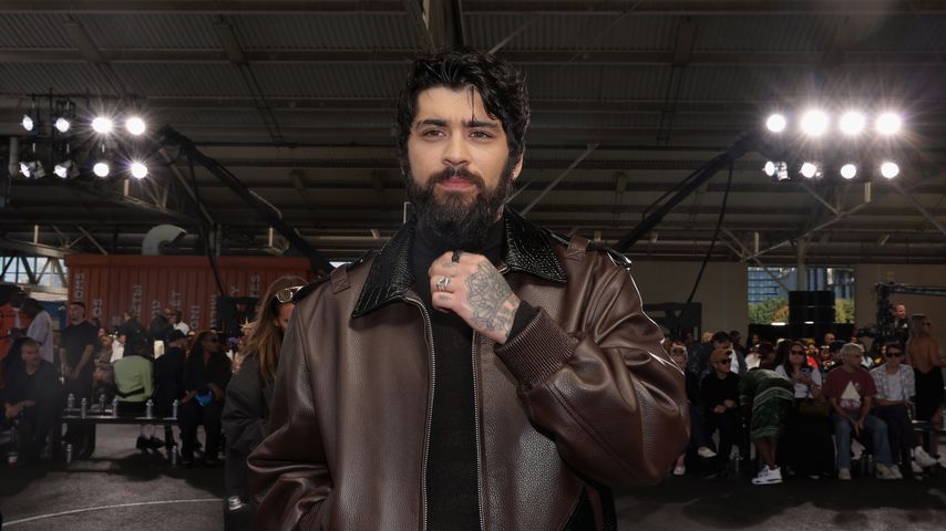 Zayn Malik, Musiker
