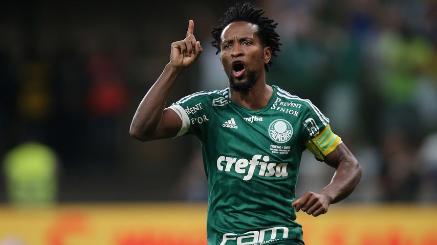 Zé Roberto, 2015
