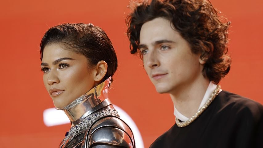 Zendaya und Timothée Chalamet, Schauspieler