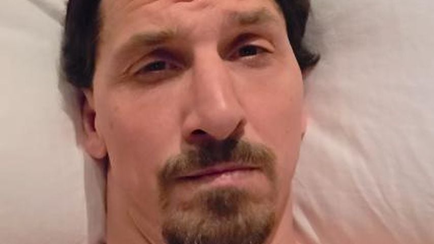Zlatan Ibrahimovics Bettclip lässt Fans vom Comeback träumen