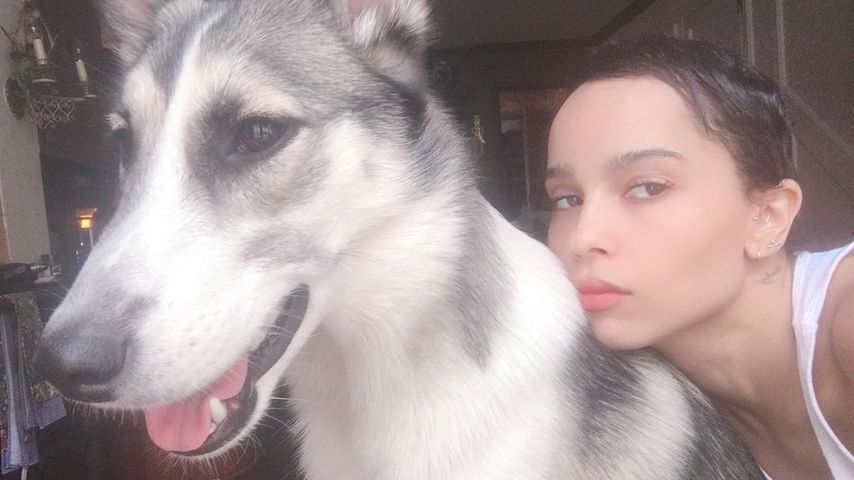 Zoe Kravitz sauer: Fan wirft ihr vor, ihre Haut aufzuhellen!
