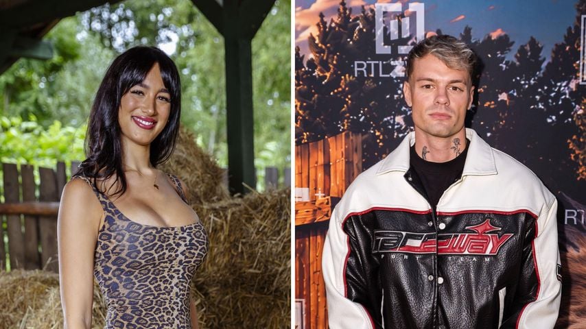 Collage: Zoe Müllner und Fabian Hesdahl