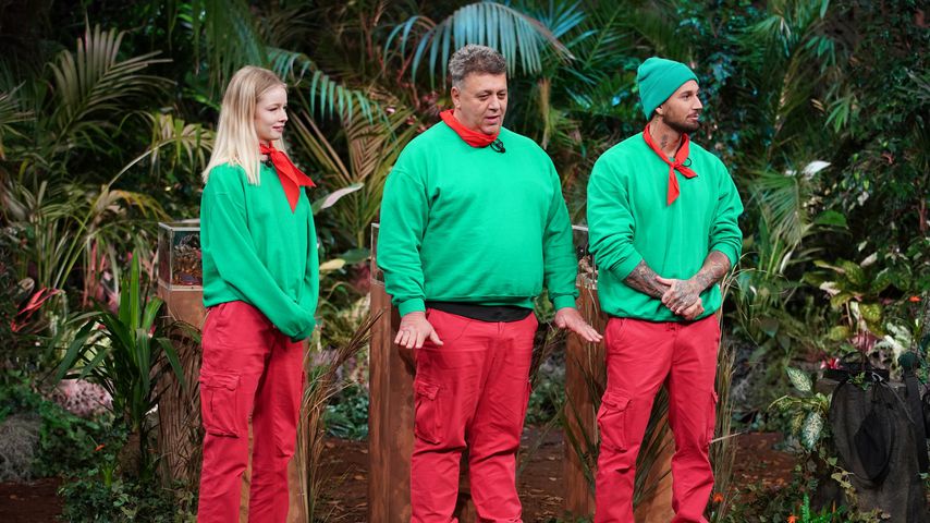 Nach Schrei-Prüfung: Wie viele Sterne holen Dschungel-Stars?