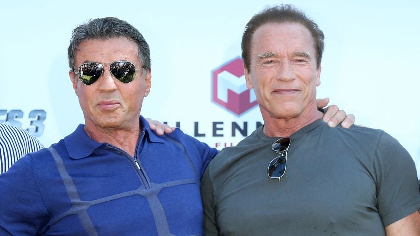 Keine Rivalen: Arnie schwärmt von Sylvester Stallones Talent